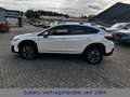 Subaru XV Comfort Weiß - thumbnail 6