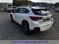 Subaru XV Comfort Weiß - thumbnail 5