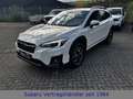 Subaru XV Comfort Weiß - thumbnail 7