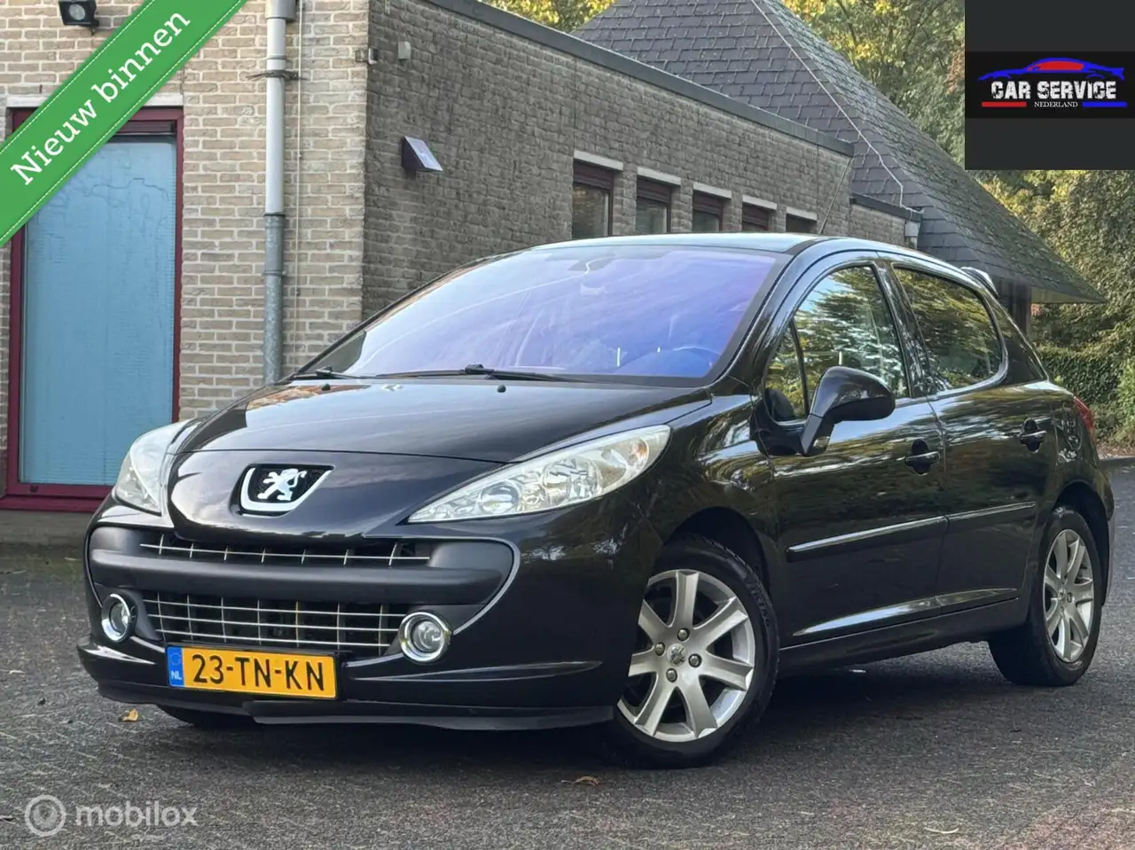 Peugeot 207