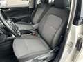 Skoda Fabia 1.0 TSI Ambition 70kW Blanco - thumbnail 10