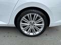 Skoda Superb Combi TSi DSG Style ACC MatrixLED 19" AHK Weiß - thumbnail 6