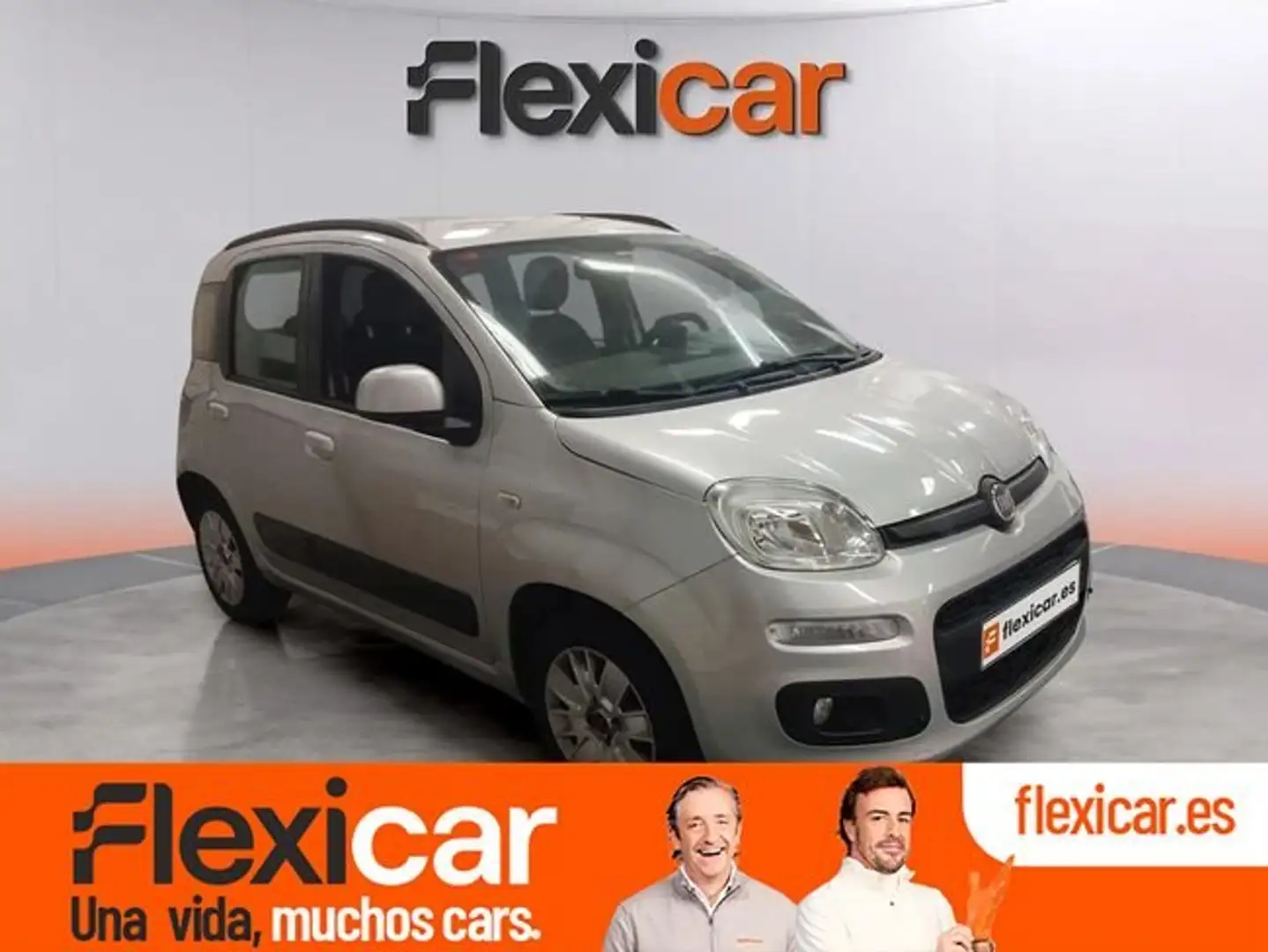 Fiat Panda 1.2 Easy Gris - 1