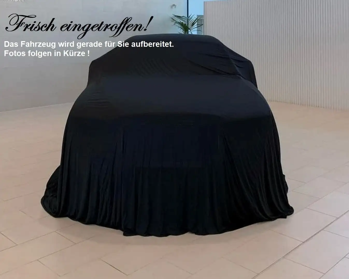 Volkswagen Tiguan 1.5 eTSI Life Plus*DSG*R.Kamera*ACC Gris - 2