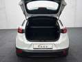 Mazda CX-3 2.0 Skyativ-G Prime-Line*Klima*MFL* Weiß - thumbnail 7