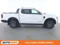 Ford Ranger 2.0 TDCi EcoBlue Wildtrak 4WD Doppelkabine Weiß - thumbnail 7