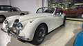 Jaguar XK 120 Roadster Weiß - thumbnail 2