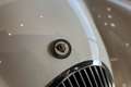 Jaguar XK 120 Roadster Weiß - thumbnail 7