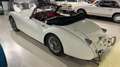 Jaguar XK 120 Roadster Weiß - thumbnail 4