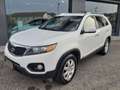 Kia Sorento Sorento 2.2 16V CRDI  4WD CAMBIO AUTOMATICO-KM CE Bianco - thumbnail 3