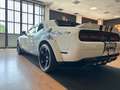 Dodge Challenger Dodge Challenger Sxt Plus 3.6L V6 PUNISHER Blanc - thumbnail 10