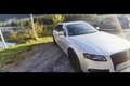 Audi A4 allroad quattro 2.0 TDI DPF - thumbnail 3
