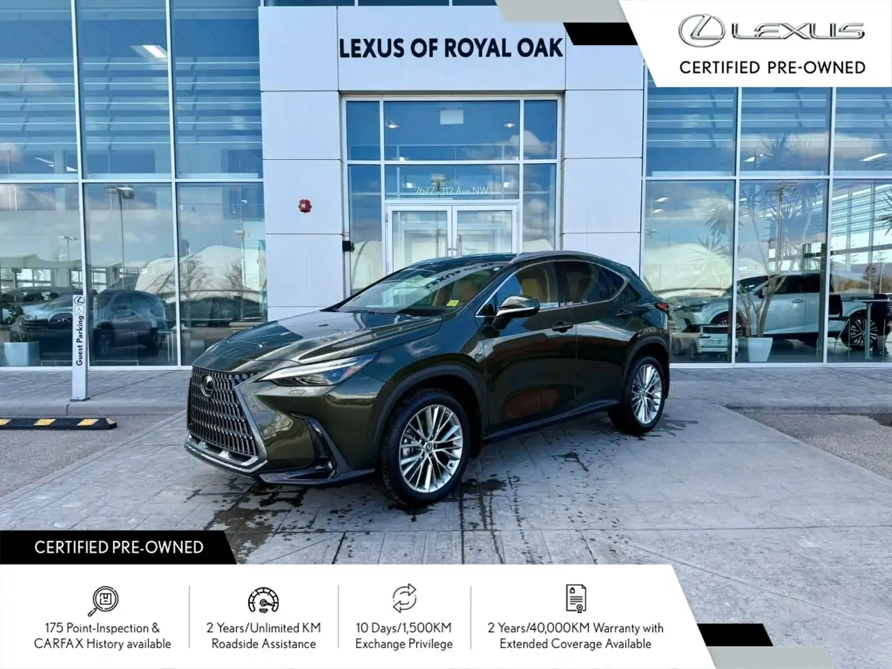 2024 Lexus NX