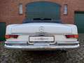 Mercedes-Benz 280 SE Werkscabriolet W111 Weiß - thumbnail 13