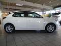 Opel Corsa F 1.2 EDITION inkl. 5 Jahre Garantie (G5) Blanc - thumbnail 6