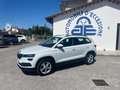 Skoda Karoq 2.0 TDI SCR 4x4 Ambition Wit - thumbnail 3