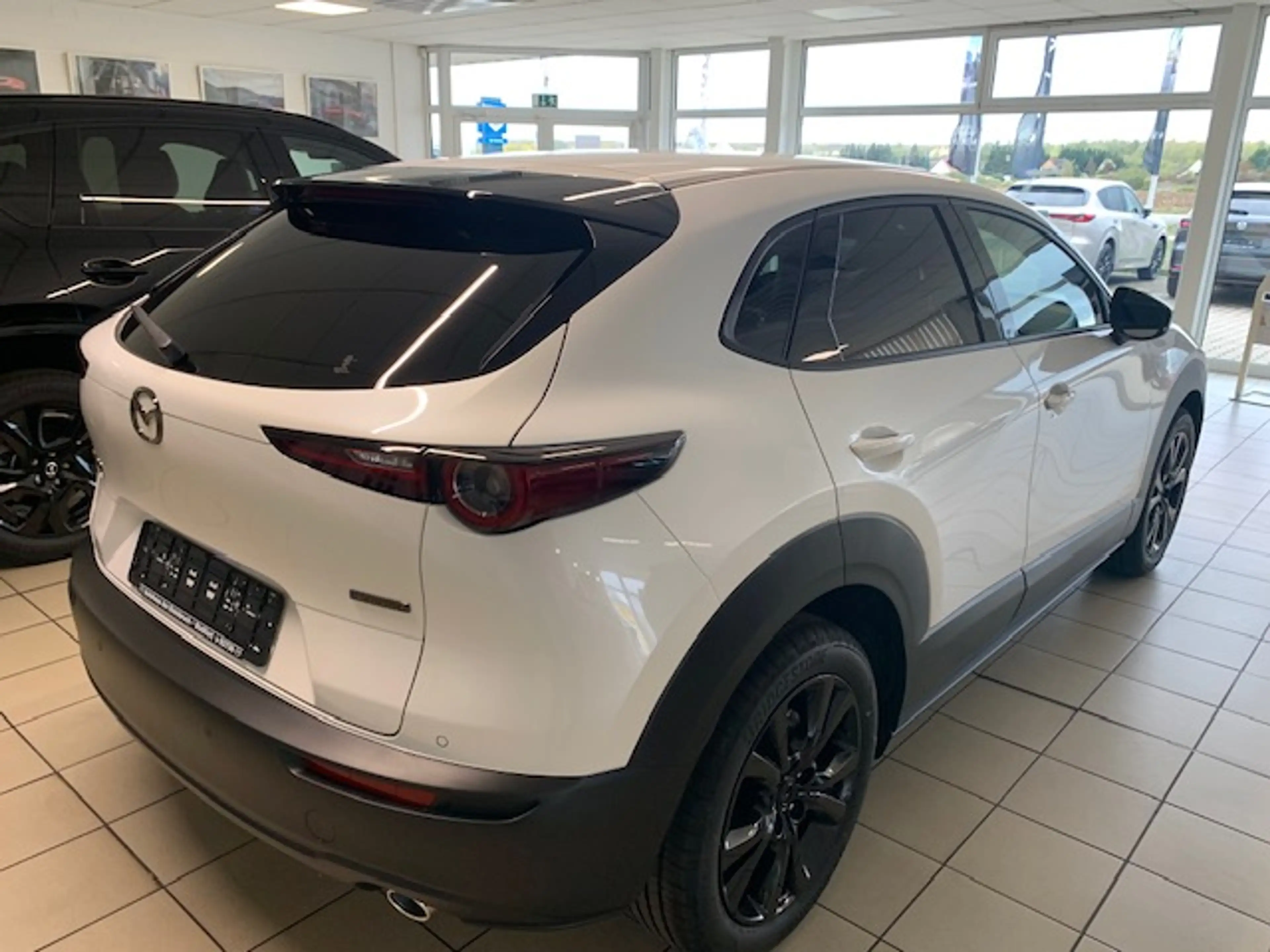 Mazda CX-30 CX-30 e-SKYACTIVE G 140 HOMURA — photo 5