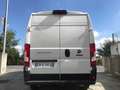 Fiat Ducato Bianco - thumbnail 6