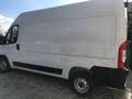 Fiat Ducato Bianco - thumbnail 7