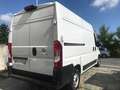 Fiat Ducato Bianco - thumbnail 5