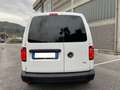 Volkswagen Caddy Business 2.0 TDI 55kW (75CV) IVA ESPOSTA Bianco - thumbnail 5