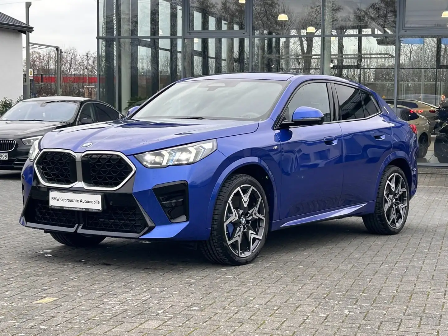 BMW X2 sDrive20i / M Sportpaket / Niere Iconic Glow Blau - 1