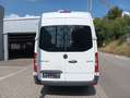 Mercedes-Benz Sprinter III KastenMaxi 315 CDI 1.Hand Klima Weiß - thumbnail 9