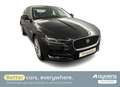 Jaguar XE P250 Aut. Noir - thumbnail 1