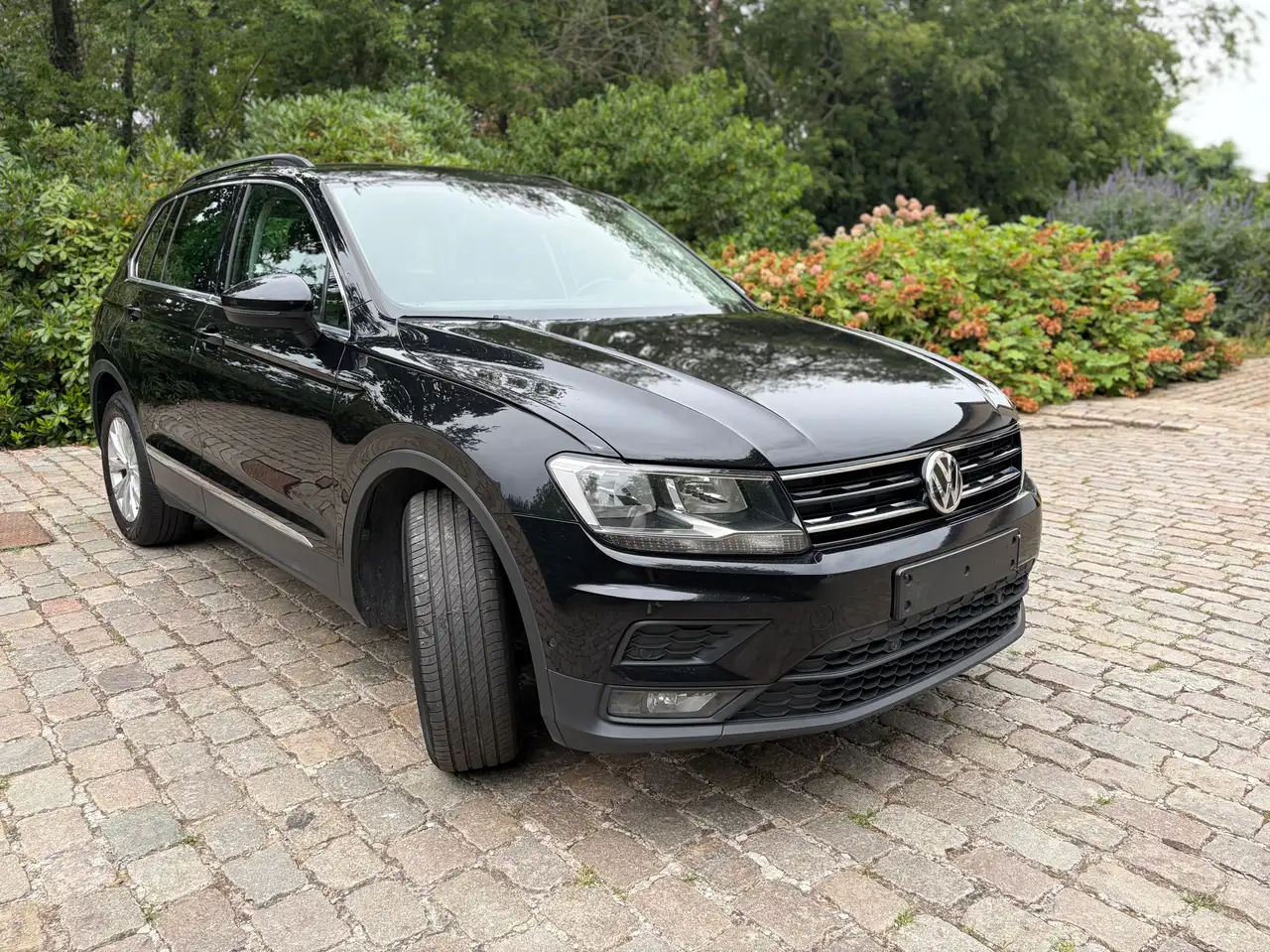 Volkswagen Tiguan 2.0 TDi SCR Platinum DSG, миниатюра 3