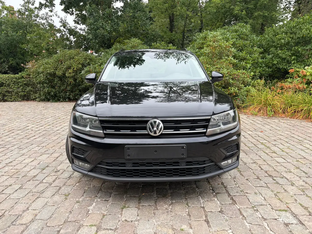 Volkswagen Tiguan 2.0 TDi SCR Platinum DSG, миниатюра 2