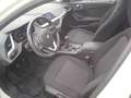 BMW 116 116d Blanco - thumbnail 8