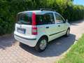 Fiat Panda Utilitaria Bianco - thumbnail 3