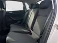 Volkswagen Polo 1.0 evo Life 80cv Beige - thumbnail 12