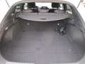 Kia ProCeed / pro_cee'd 1.5 T-GDi 160 ch DCT7 GT Line Blanc - thumbnail 23