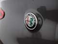 Alfa Romeo Stelvio 2.2 JTDM Aut XENON NAVI SITZHZG MEMORY Gris - thumbnail 9
