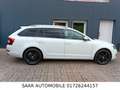 Skoda Octavia Combi Style 2.0TDI DSG/LEDER/EURO6 Weiß - thumbnail 7