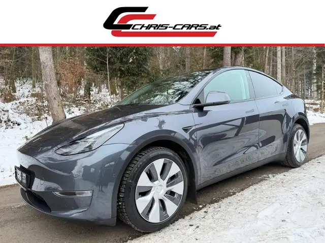 Tesla Model Y Long Range Dual AWD**ACC*LED*PANO*AP 3.0*TOP**