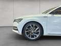 Skoda Superb Combi 2.0 TDI DSG Sportline Weiß - thumbnail 20