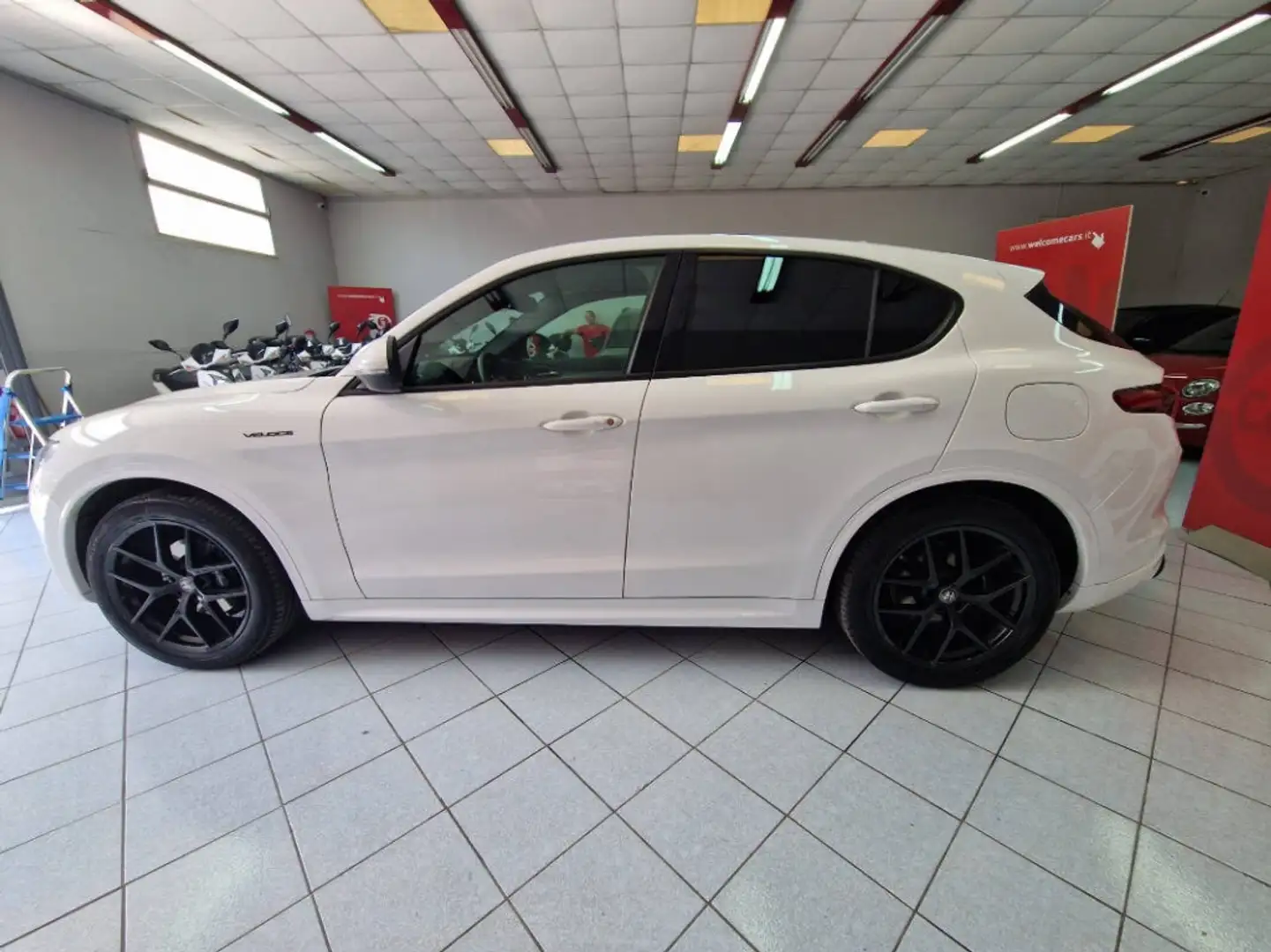 Alfa Romeo Stelvio 2.2 t Veloce Q4 210cv auto Bianco - 2