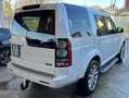 Land Rover Discovery Discovery 3.0 Bianco - thumbnail 8