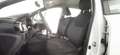 Nissan Micra IG-T 92 5 porte Acenta Bianco - thumbnail 14