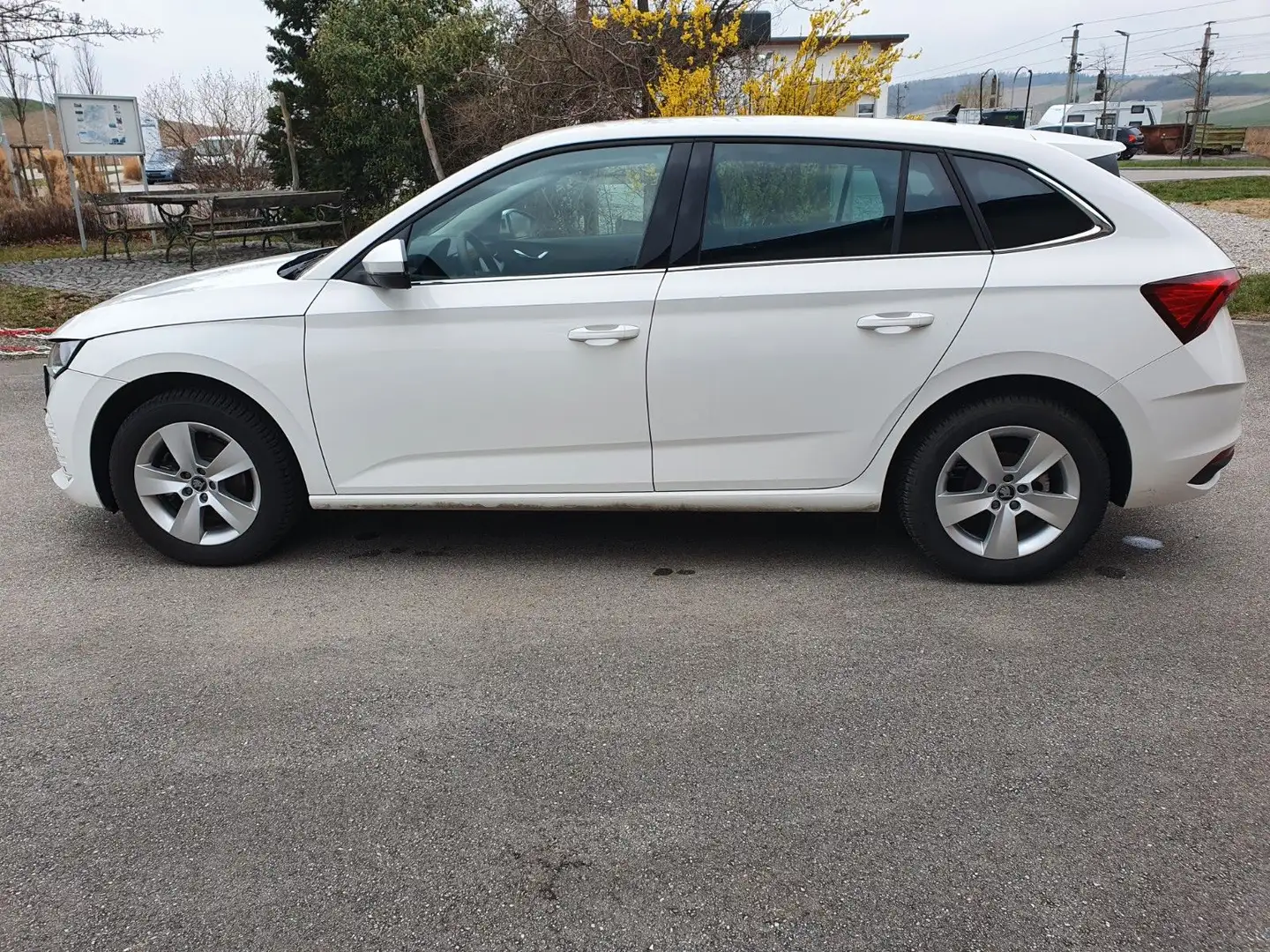 Skoda Scala 1.0 TSI Selection/KA/Cam/Keyl/LED,fahrb. Weiß - 2