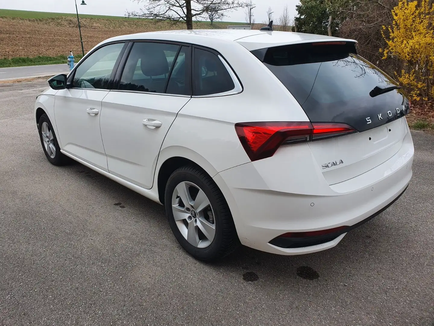 Skoda Scala 1.0 TSI Selection/KA/Cam/Keyl/LED,fahrb. Weiß - 1