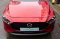 Mazda 3 2.0 SkyActiv-G Rouge - thumbnail 14