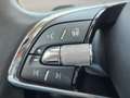 Skoda Enyaq 60 Lodge Akkuzertifikat NAV LED ACC ALU Silber - thumbnail 20