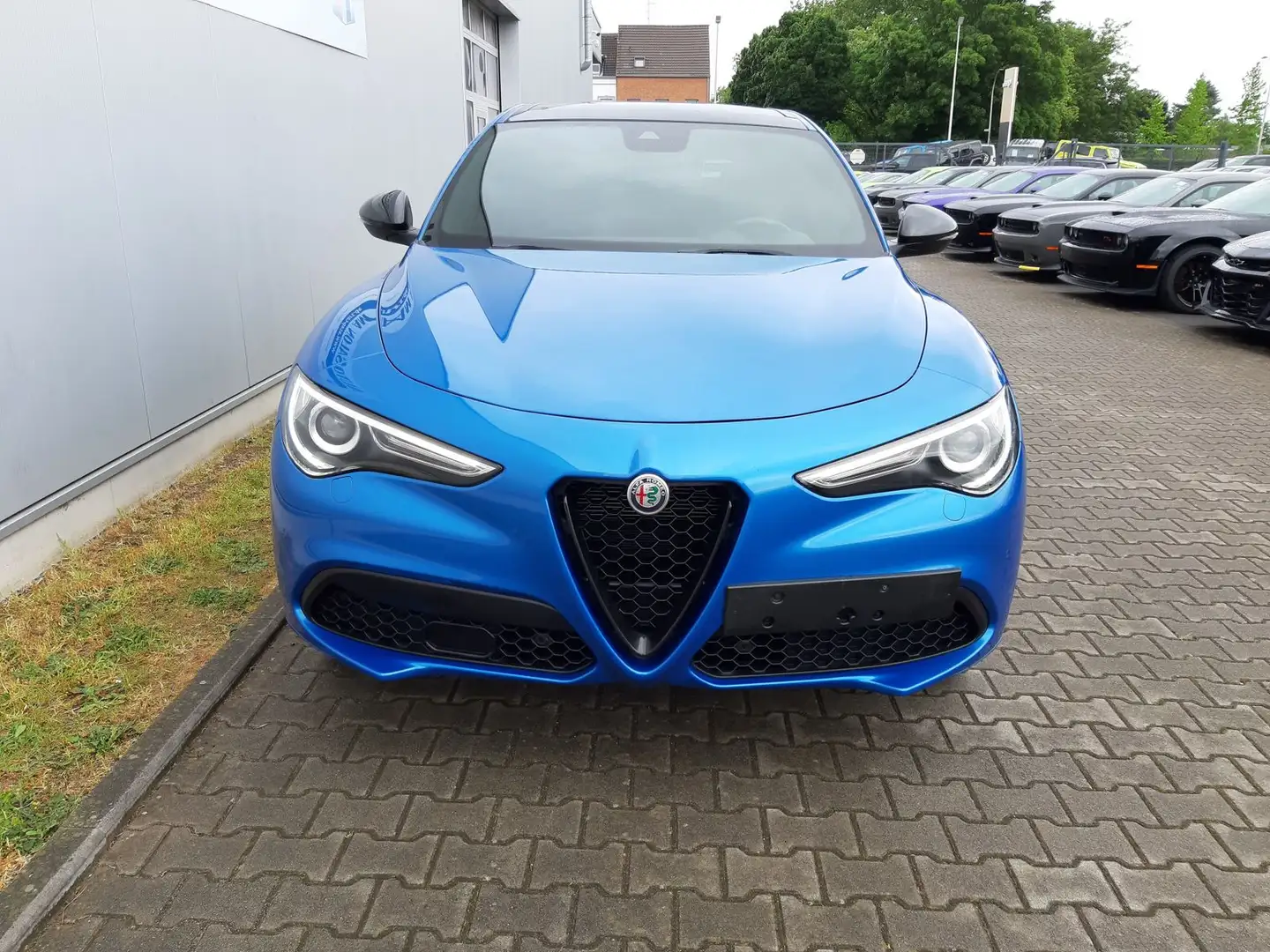 Alfa Romeo Stelvio Veloce 2.2 Diesel/AHK/Pano.-Dach Bleu - 2