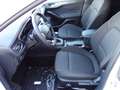 Ford Focus 125 PS Klimaauto. PDC v+h+Kamera Voll LED Weiß - thumbnail 16