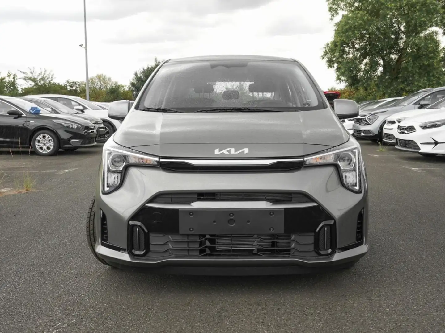 Kia Picanto 1.2 Vision Navi Kamera SpurH Lenkradhzg Grau - 2