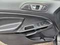 Ford EcoSport Titanium Klima Navi PDC SHZ R-Kamera Gris - thumbnail 9