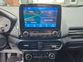 Ford EcoSport Titanium Klima Navi PDC SHZ R-Kamera Gris - thumbnail 13